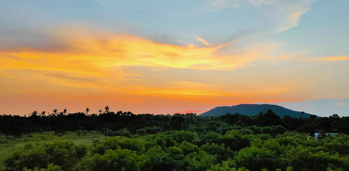 Manimangalam Nature