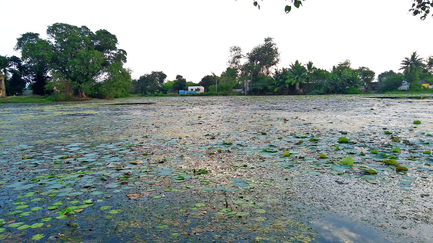 Manimangalam Kulam