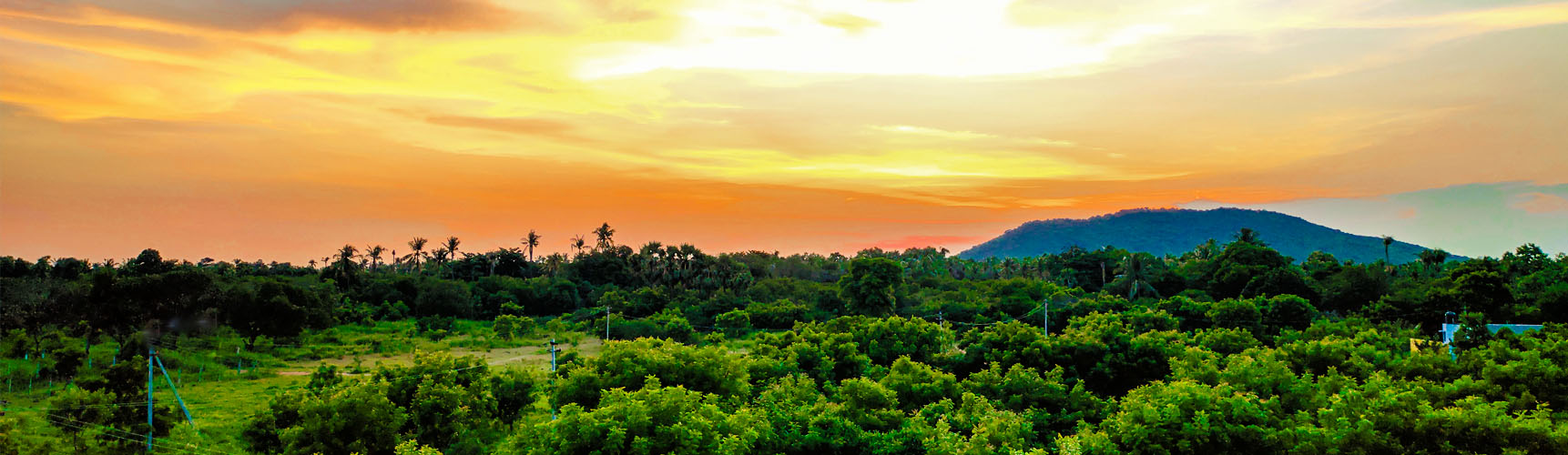 Manimangalam Nature